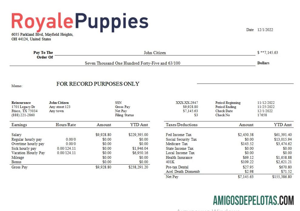 Declaração de ganhos da empresa de medicina veterinária em formatos Word e PDF exemplo real